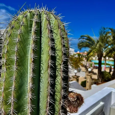 Teide View Malibu Park 公寓