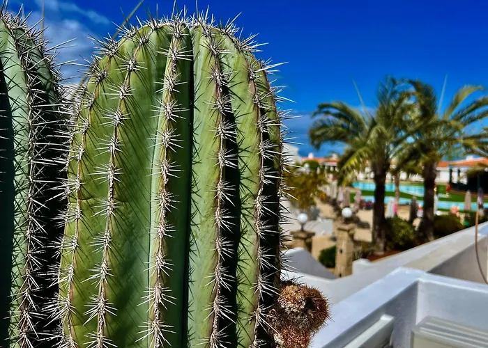 Teide View Malibu Park Апартаменты